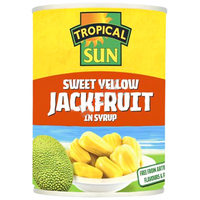 Tropical Sun Jackfruit In Syrup