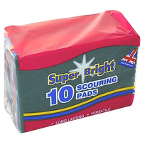 Super Bright Scourer Pad