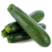 Courgette Green