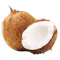 Coconut - Each