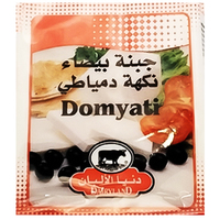 Dairyland Domyati White Cheese