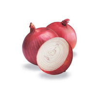 Bombay Onion Bag