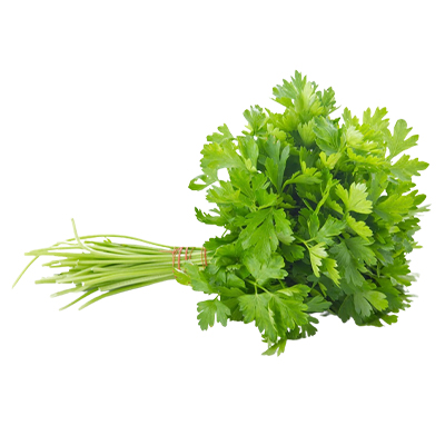 Buy Coriander Leaves - Bunch - 1pp at £ from Go Fresh Food | Trolleymate